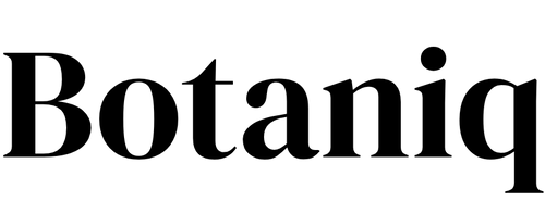 Nuslay